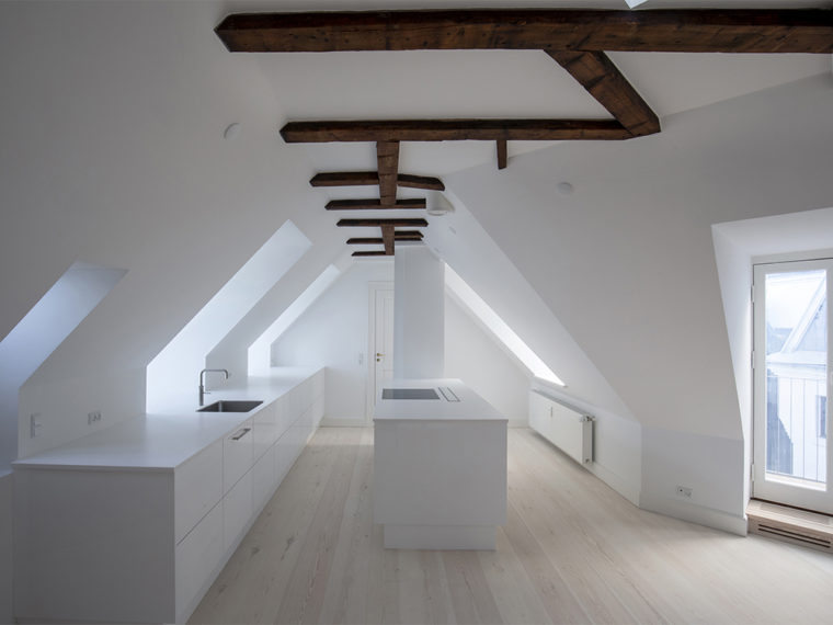 Frederiksgade 11 kitchen after renovation Elgaard Architecture
